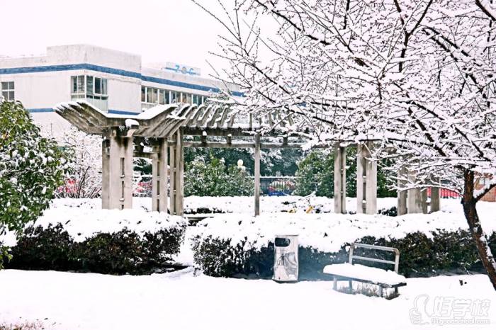 学校雪景