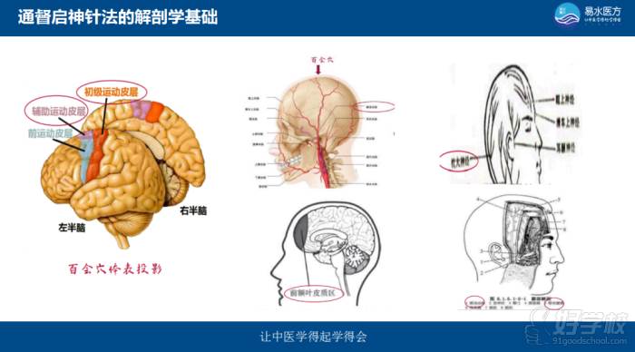 督脉