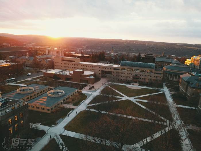 学校全景