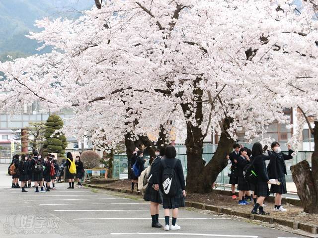 日本高中入学