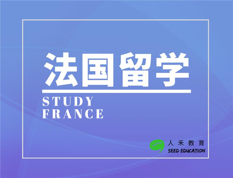 法国留学申请咨询（个性化服务）