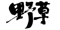 北京野草传媒艺考培训学校