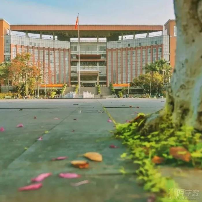 学校环境二