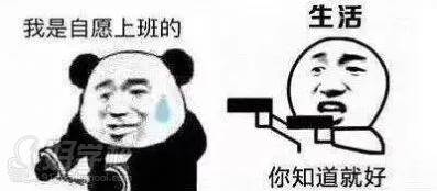 自愿上班表情包