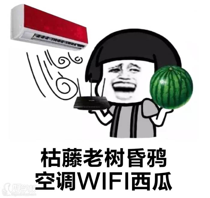 空調(diào)wifi西瓜  葛優(yōu)同款沙發(fā)