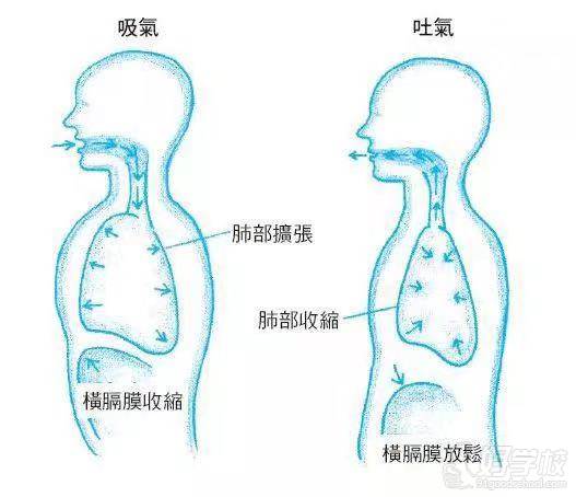 呼氣的要領(lǐng)