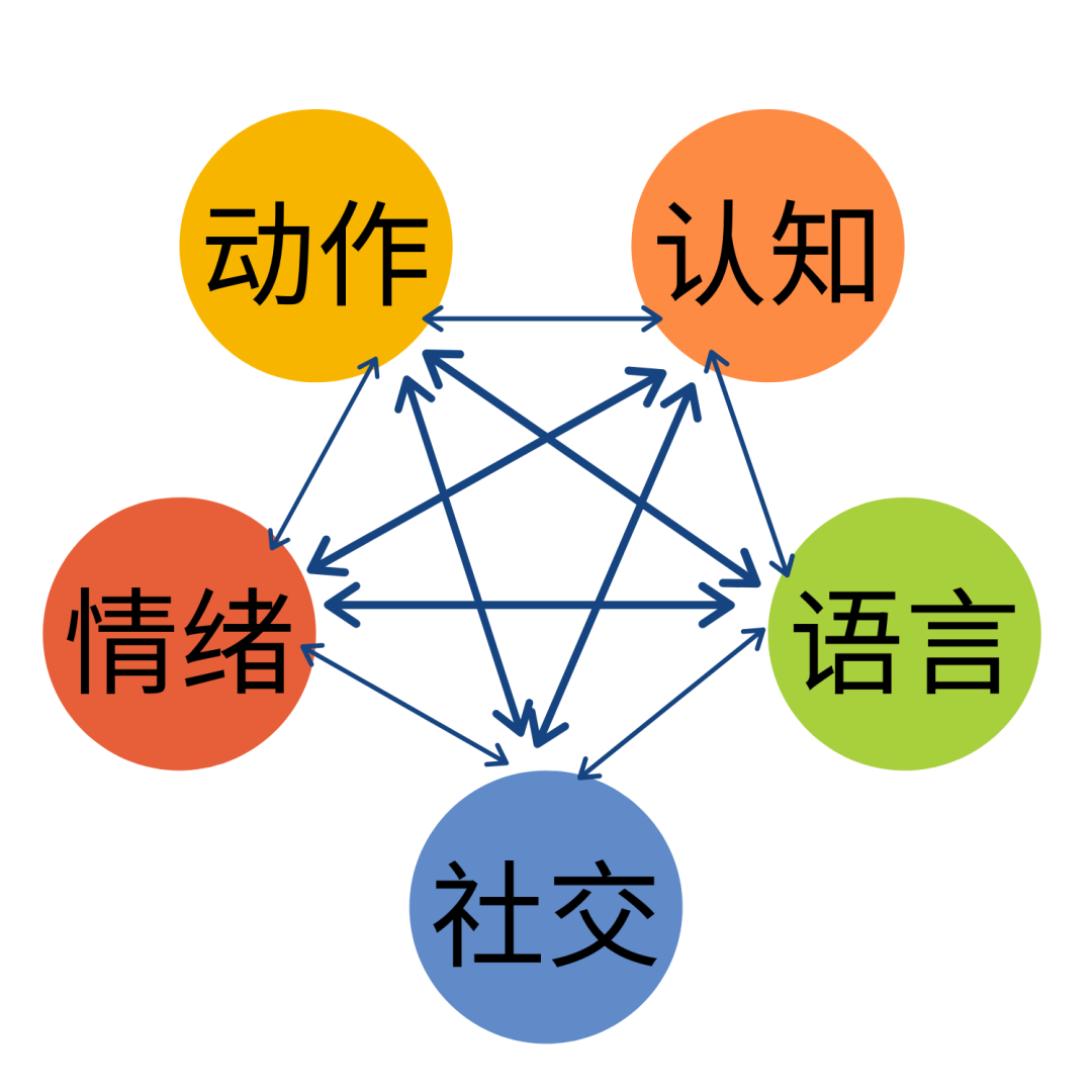 五大領(lǐng)域之間