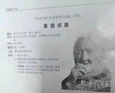 老年女性頭像帶手(畫照片)