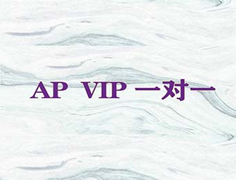 天津AP VIP一对一辅导班