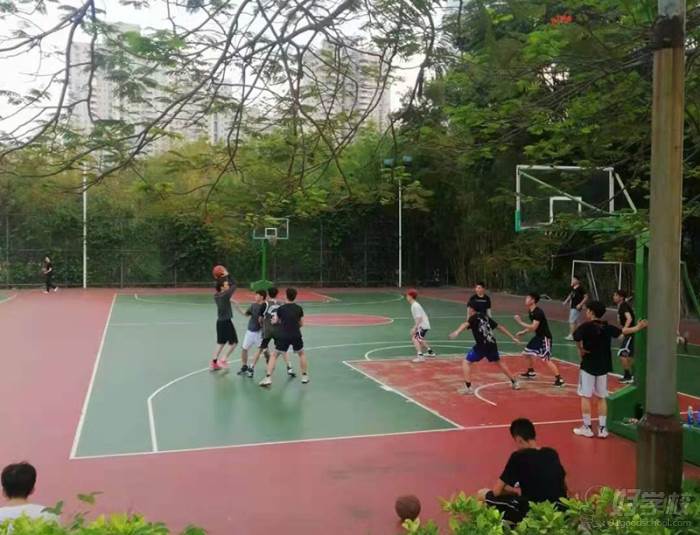 同学打篮球赛现场