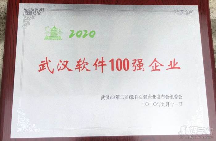 2020年武汉软件百强企业