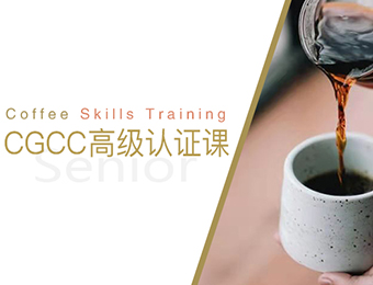 上海咖啡CGCC高级认证培训班