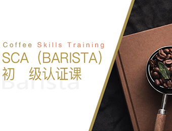 上海咖啡SCA初级认证培训课程