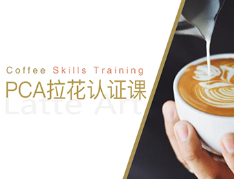 上海咖啡PCA拉花认证培训班