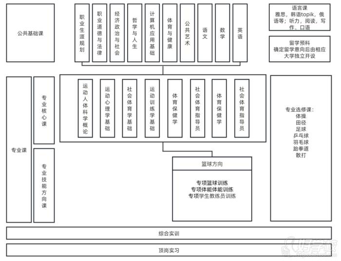 运动训练