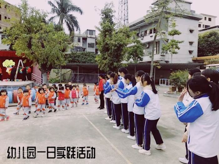 幼兒園一日實踐活動