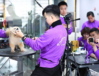 广州宠物美容护理专业培训课程