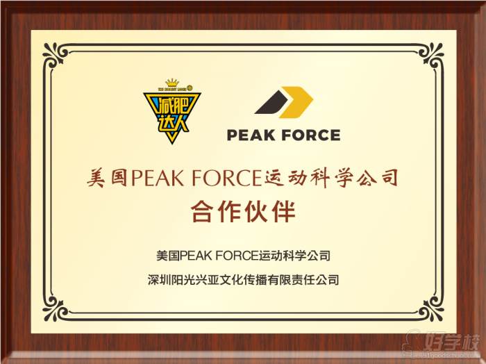 PEAK-FORCE