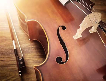 武汉一对一小提琴专业培训课程