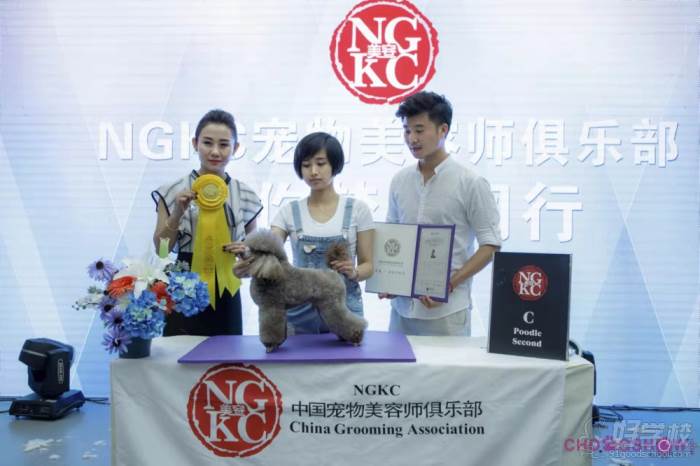 学员风采-中国宠物美容师俱乐部-C级获奖