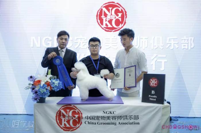 学员风采-中国宠物美容师俱乐部-B级获奖