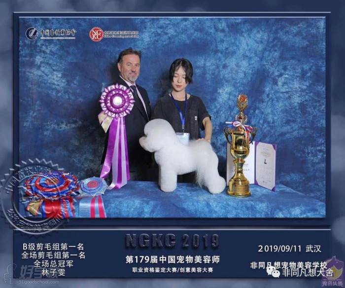 第179届中国宠物美容师职业资格鉴定大赛/创意美容大赛B级剪毛组第1名