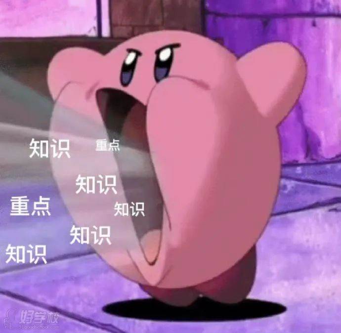 吸收知识