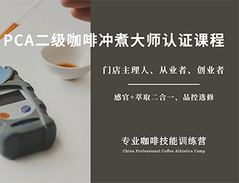 上海PCA咖啡冲煮大师二级认证课程