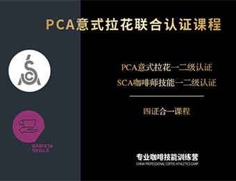 上海PCA专业咖啡技能训练营