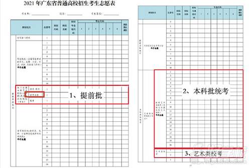 志愿表