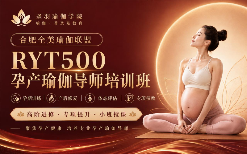 合肥全美瑜伽联盟RYT500孕产瑜伽导师培训班