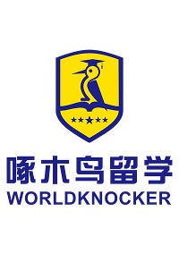 大连啄木鸟教育
