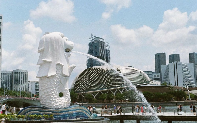 天津新加坡留学申请服务