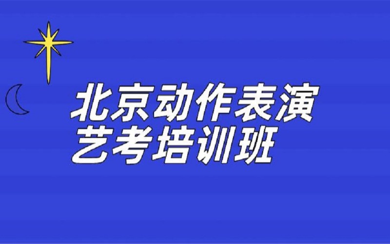 北京动作表演艺考培训班