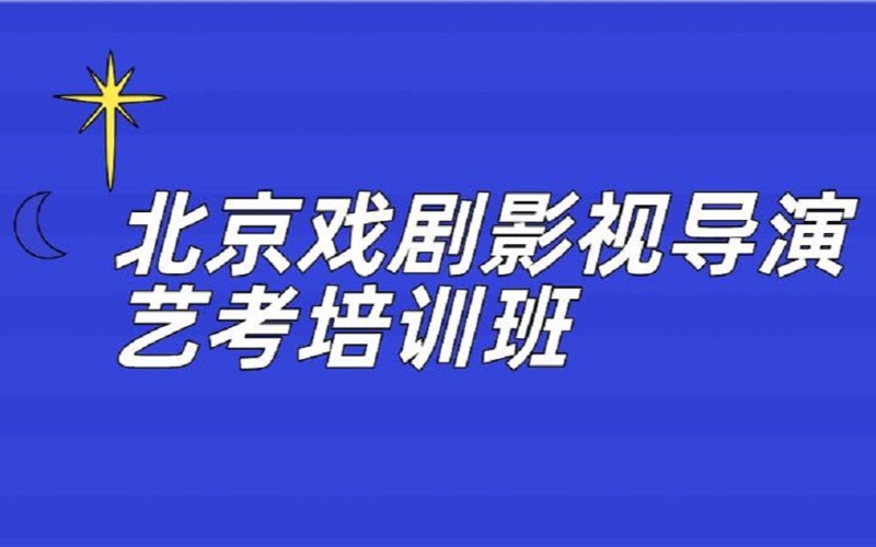 北京戏剧影视导演专业艺考培训班