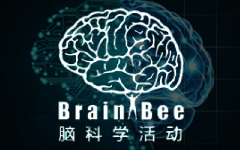 BrainBee全球青少年脑科学大赛课程