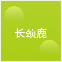 西安長(zhǎng)頸鹿美語(yǔ)培訓(xùn)中心