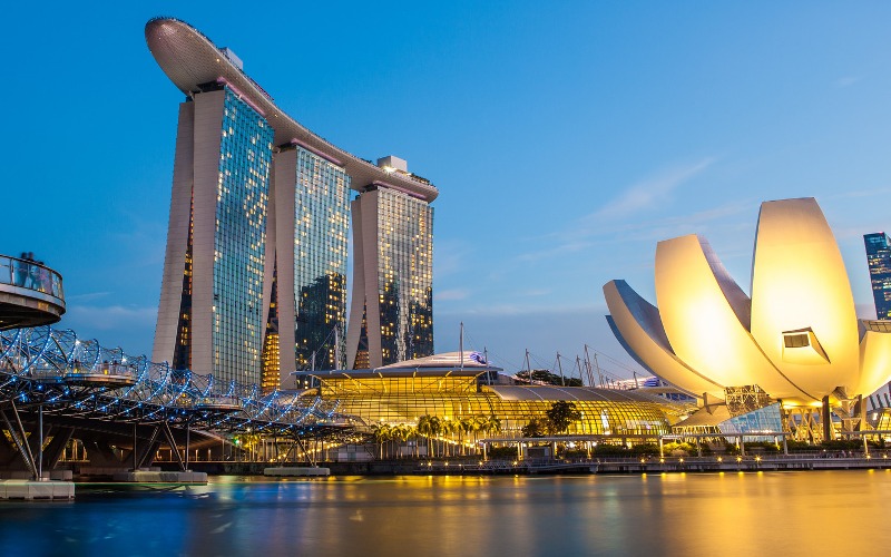 新加坡各阶段留学申请服务