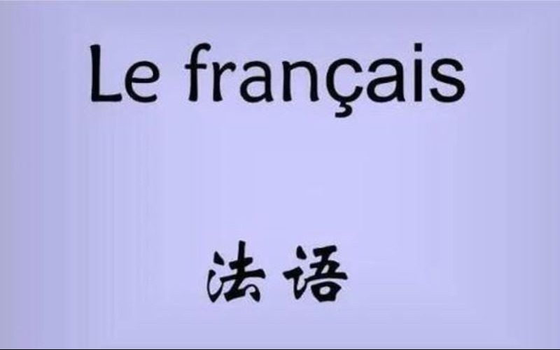 新申途法語專業(yè)培訓班