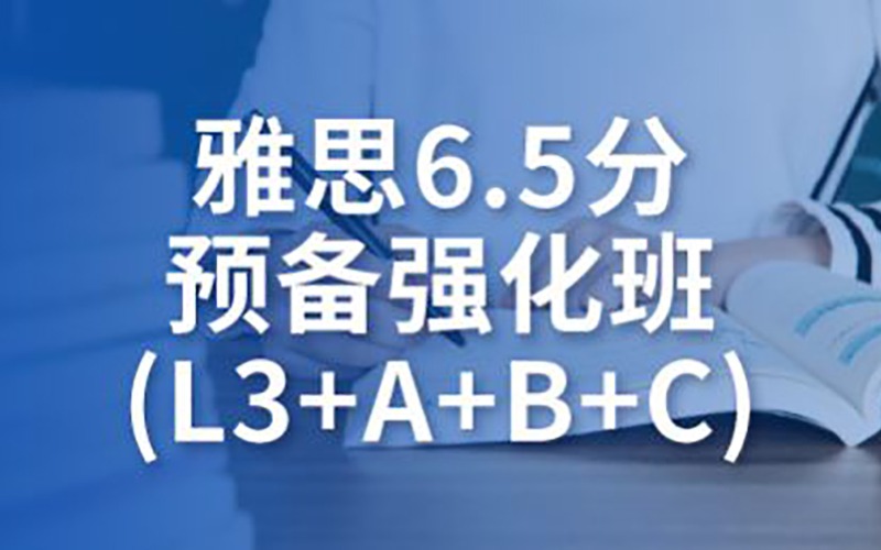 雅思6.5分預(yù)備強(qiáng)化班(L3+A+B+C)