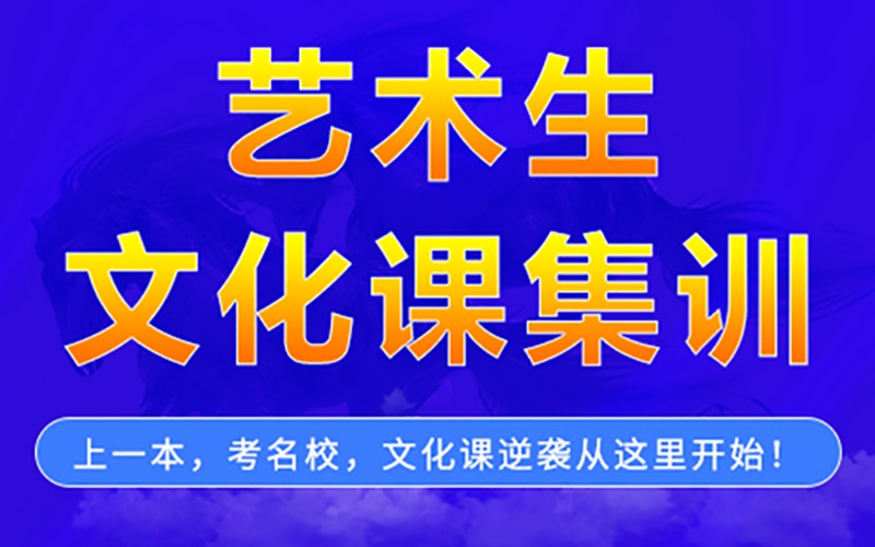 武漢藝考文化課集訓招生簡章