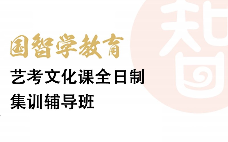 藝術(shù)生考試全日制文化課集訓(xùn)輔導(dǎo)班