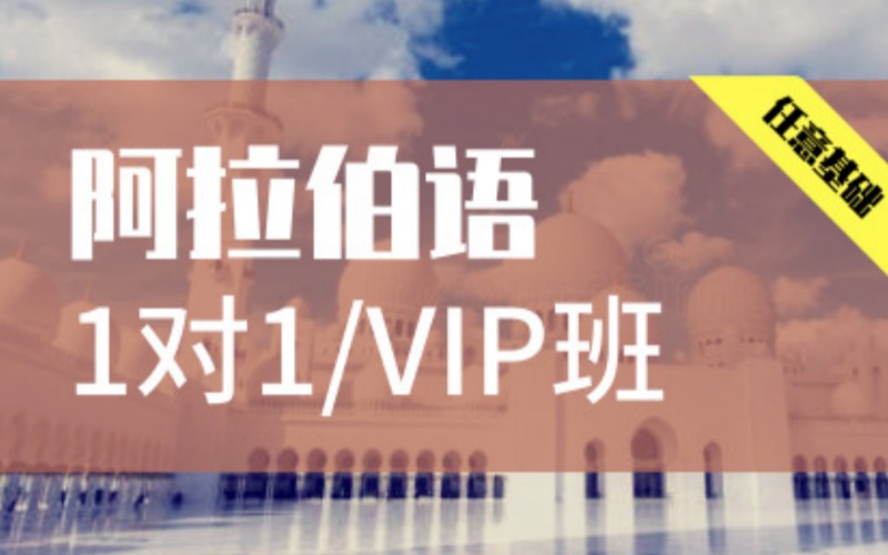 西安阿拉伯语1对1/VIP班