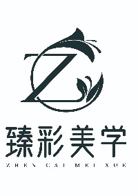 天津臻彩美学教育