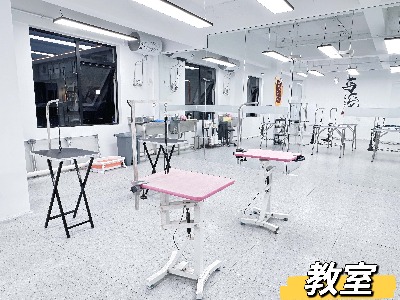 上海與它寵美培訓(xùn)學(xué)校的環(huán)境怎么樣？