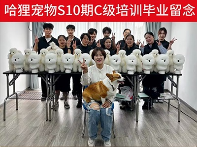 畢業(yè)啦！哈貍寵物美容培訓學校師生留影紀念