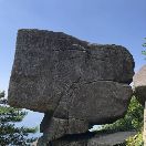 冷*生