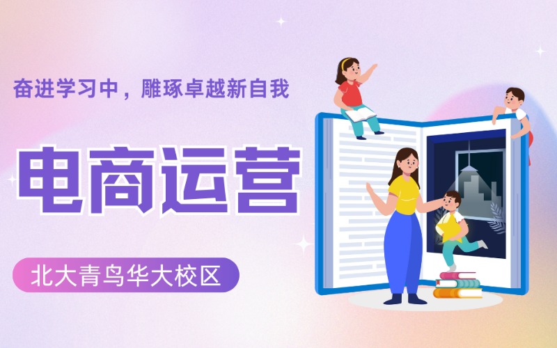 电商平台运营提升实战班
