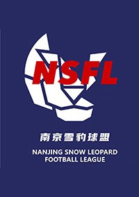 南京雪豹足球俱乐部