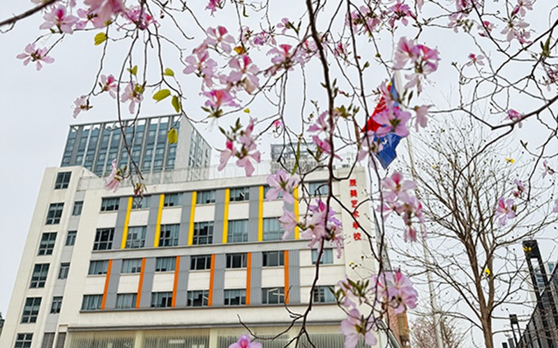 佛山英国留学项目升学班